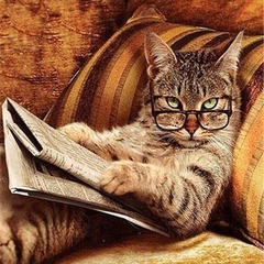Avatar de Agathe Pruvost