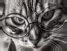 Avatar de Léa Chauvin