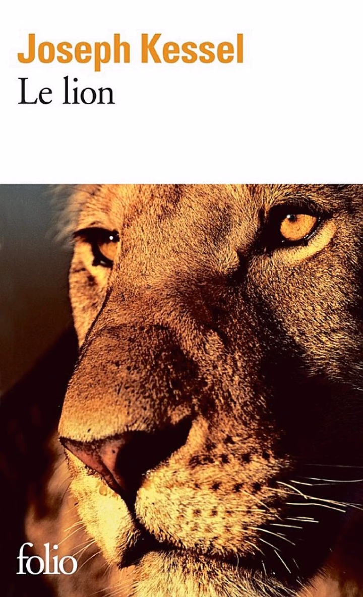 Le Lion