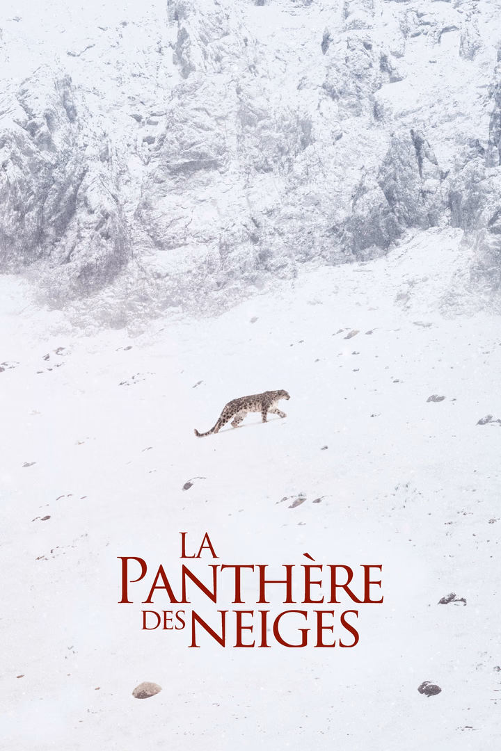 La Panthère des neiges