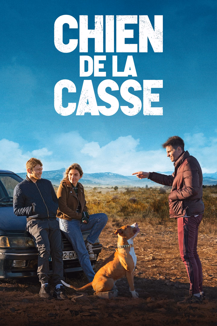 Chien de la casse